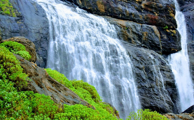 20 Best Waterfalls Near Bangalore In 2024 